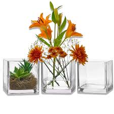 Rent or similar products at EventRentals.lk Glass Vase